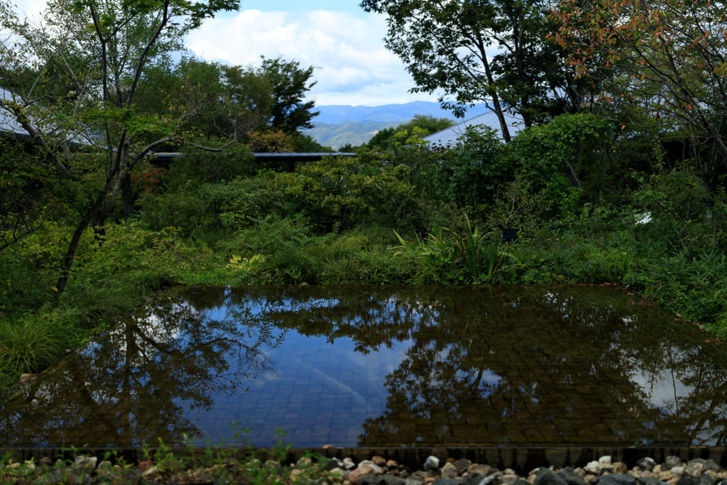 高知県立牧野植物園