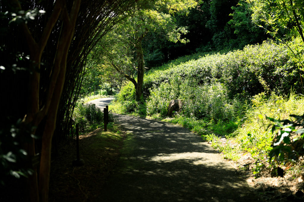 高知県立牧野植物園