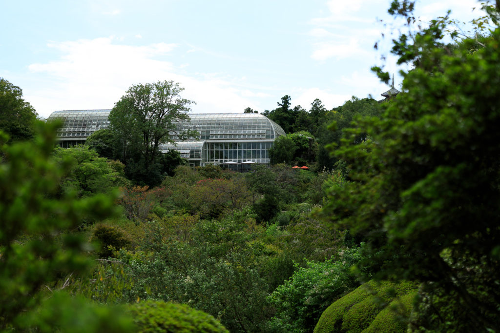 高知県立牧野植物園