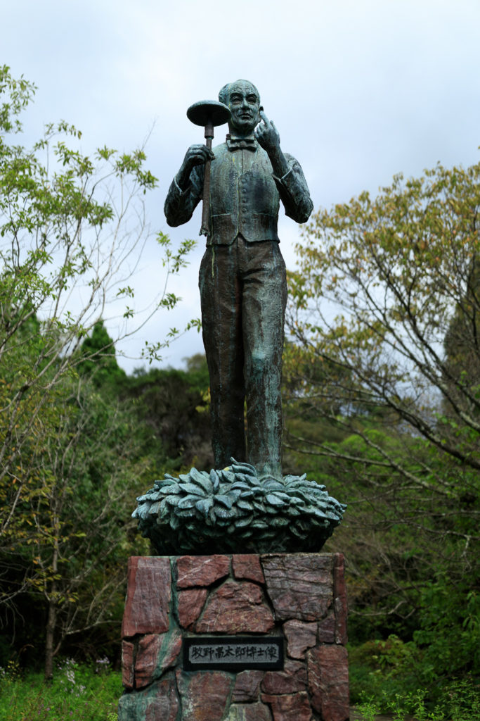 高知県立牧野植物園