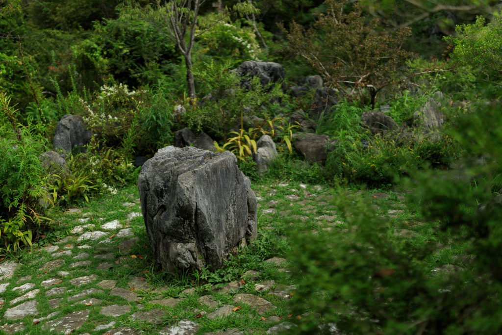 高知県立牧野植物園