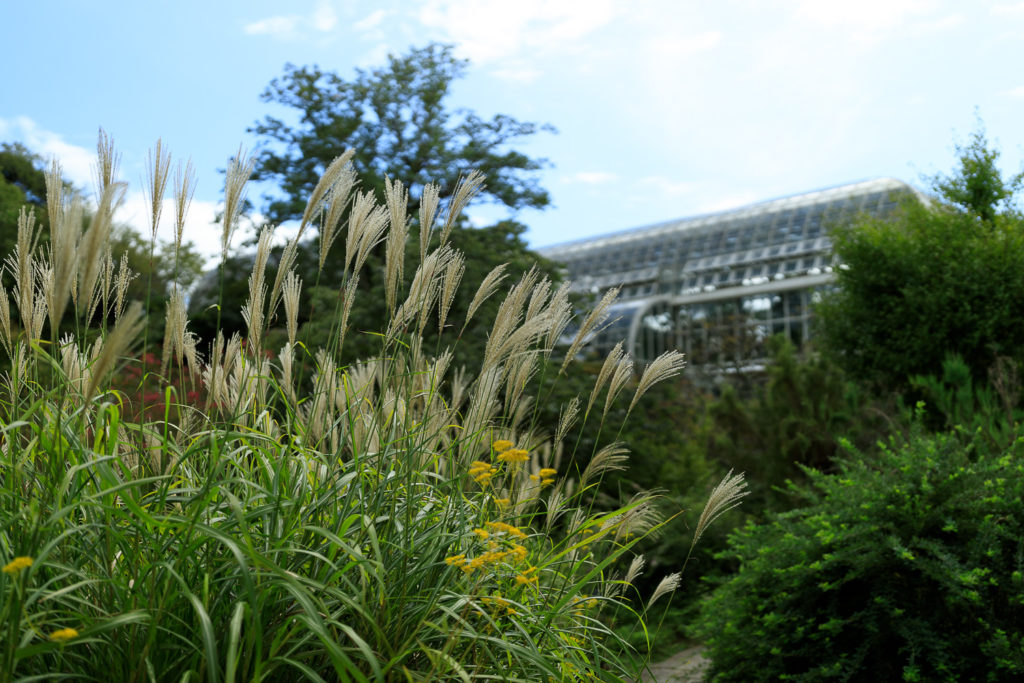 高知県立牧野植物園