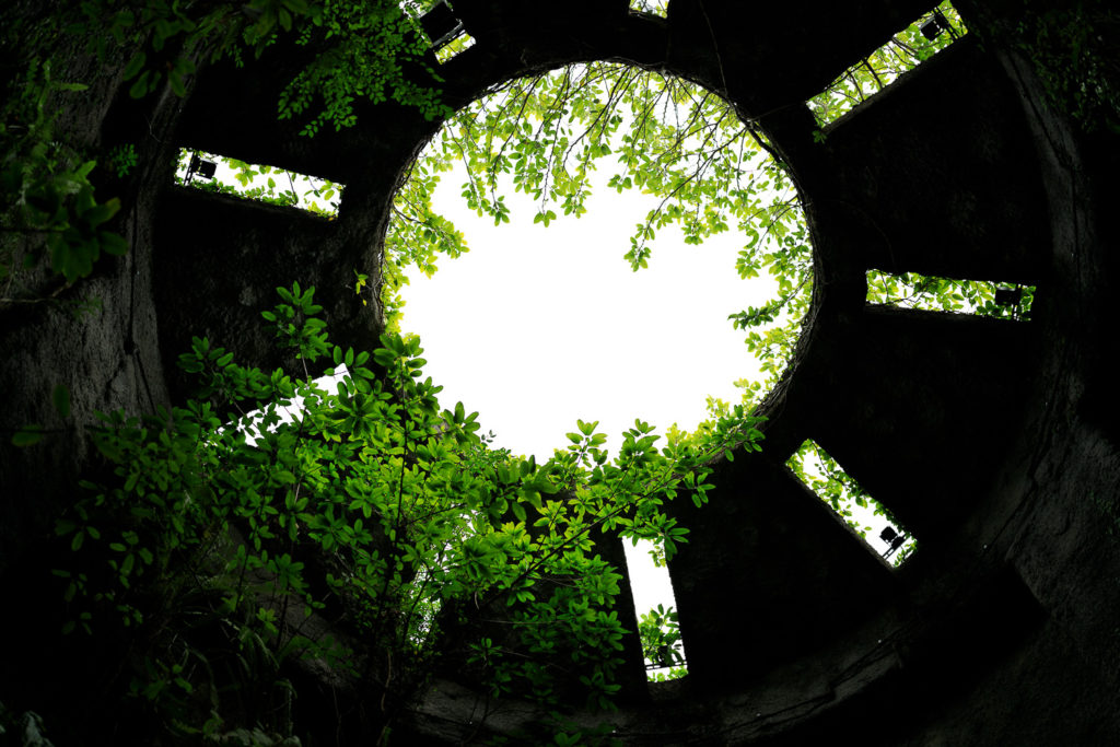 高知県立牧野植物園