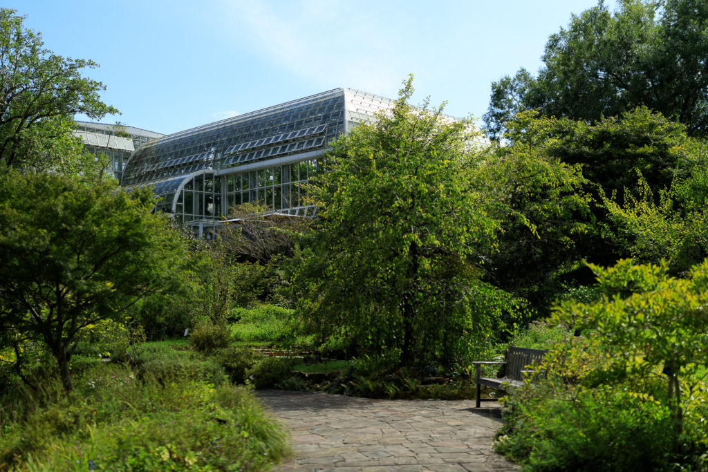 高知県立牧野植物園