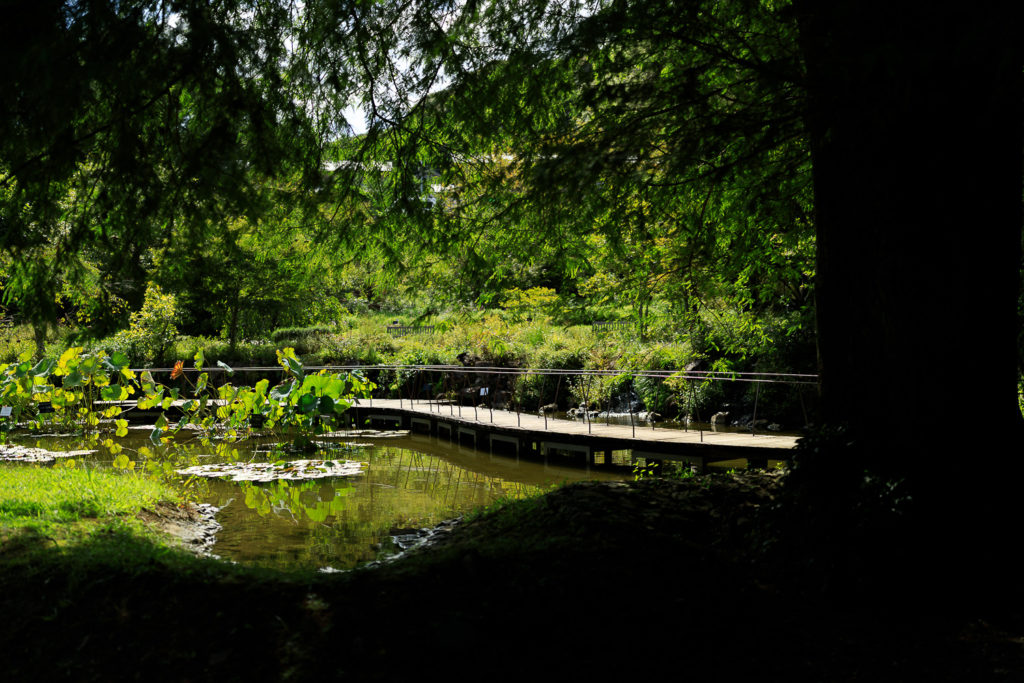 高知県立牧野植物園