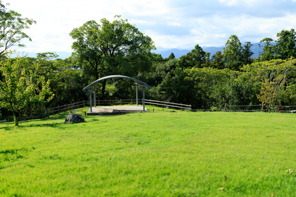 高知県立牧野植物園