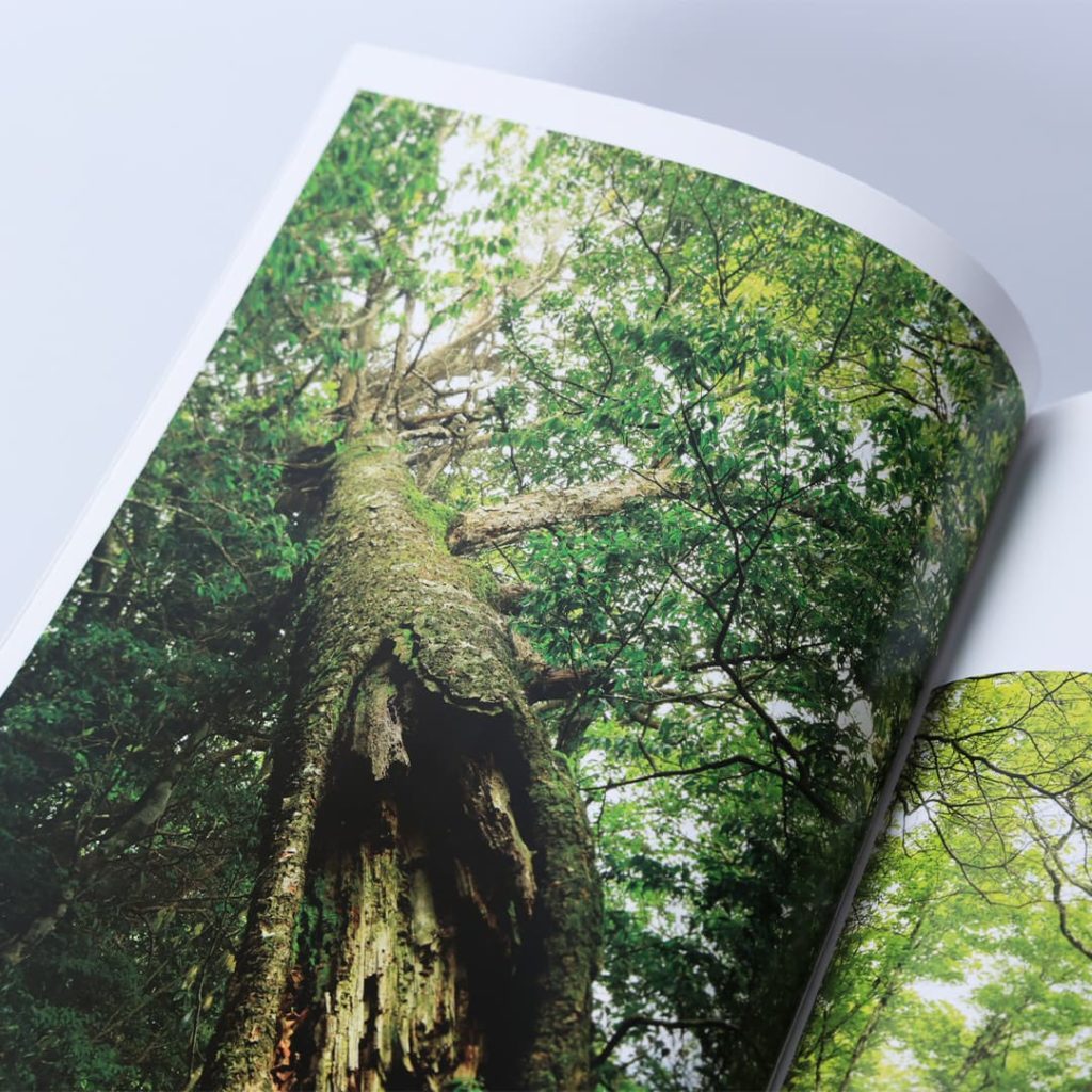 写真集「工石山の森」