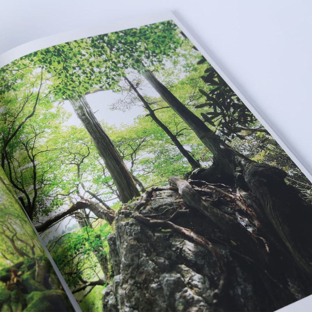 写真集「工石山の森」