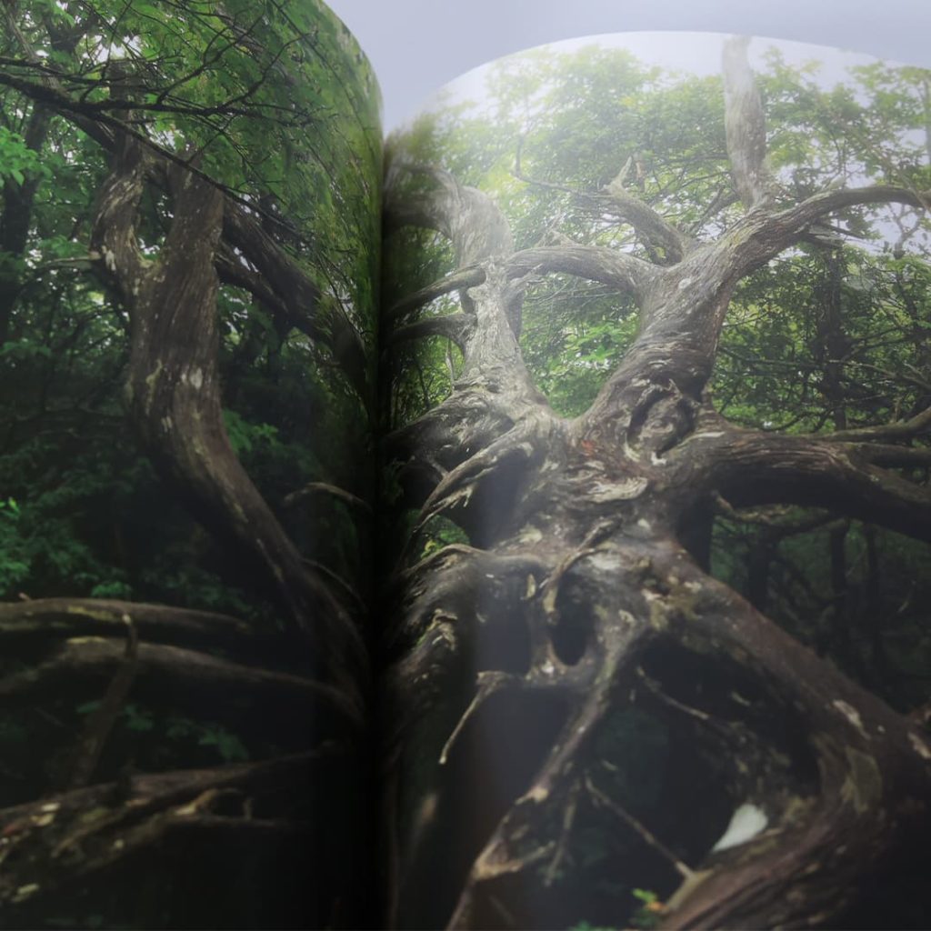 写真集「工石山の森」